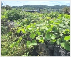  2025Ÿ��8048  �����