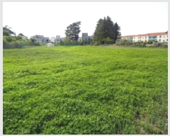  2025Ÿ��8084 ���� ���ֽ� �ֿ��� �ұ渮 882-3      ����(��1)���