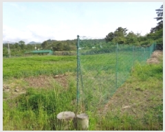  2025Ÿ��8084 ���� ���ֽ� �ֿ��� �ұ渮 882-3      ����(��1)���