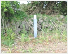  2025Ÿ��8084 ���� ���ֽ� �ֿ��� �ұ渮 882-3      ����(��1)���