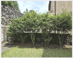  2025Ÿ��8203 ���� ���ֽ� ��õ�� ���긮 435-3      ���ð��