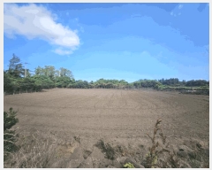  2025Ÿ��8268 ���� ���ֽ� ������ ��ȭ�� 742      ����(��1)���