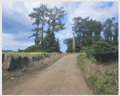  2025Ÿ��8268 ���� ���ֽ� ������ ��ȭ�� 742      ����(��1)���