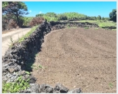  2025Ÿ��8268 ���� ���ֽ� ������ ��ȭ�� 742      ����(��1)���