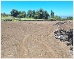  2025Ÿ��8268 ���� ���ֽ� ������ ��ȭ�� 742      ����(��1)���