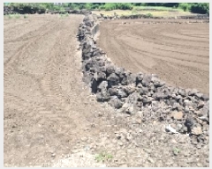  2025Ÿ��8268 ���� ���ֽ� ������ ��ȭ�� 742      ����(��1)���