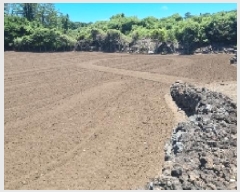  2025Ÿ��8268 ���� ���ֽ� ������ ��ȭ�� 742      ����(��1)���