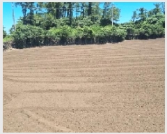  2025Ÿ��8268 ���� ���ֽ� ������ ��ȭ�� 742      ����(��1)���