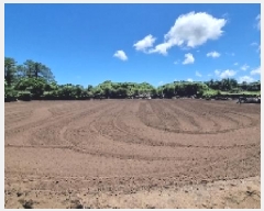  2025Ÿ��8268 ���� ���ֽ� ������ ��ȭ�� 742      ����(��1)���