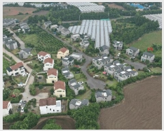  2025Ÿ��8395 ���� �������� ǥ���� ���ø� 347 11��ȣ     ���ð��