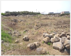  2025Ÿ��1106  �����