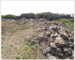  2025Ÿ��1106  �����