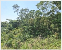  2025Ÿ��1168 ���� �������� ǥ���� ���ø� 541      ����(�Ӿ�)���