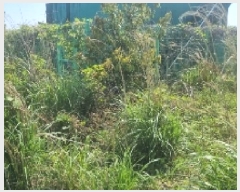  2025Ÿ��1168 ���� �������� ǥ���� ���ø� 541      ����(�Ӿ�)���