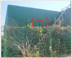  2025Ÿ��1168 ���� �������� ǥ���� ���ø� 541      ����(�Ӿ�)���