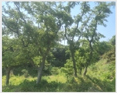  2025Ÿ��1168 ���� �������� ǥ���� ���ø� 541      ����(�Ӿ�)���