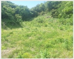  2025Ÿ��1168 ���� �������� ǥ���� ���ø� 541      ����(�Ӿ�)���