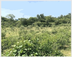  2025Ÿ��1214  �ٸ����ð��