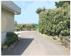  2025Ÿ��1214  �ٸ����ð��