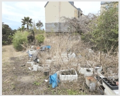  2025Ÿ��7618 ���� �������� ���� 558       ����(��1)���