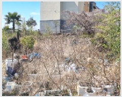  2025Ÿ��7618 ���� �������� ���� 558       ����(��1)���