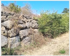  2025Ÿ��7618 ���� �������� ���� 558       ����(��1)���