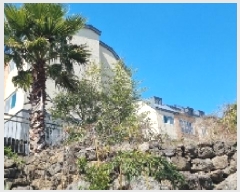  2025Ÿ��7618 ���� �������� ���� 558       ����(��1)���