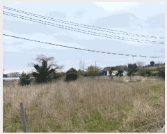  2025Ÿ��7645  �����