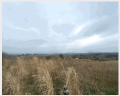  2025Ÿ��7645  �����