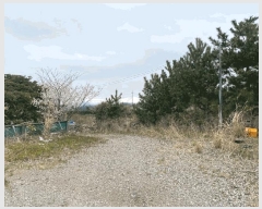  2025Ÿ��7645  �����