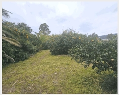  2025Ÿ��7712 ���� �������� ��ȣ�� 15-1       �ܵ�����,�����ð��