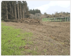  2025Ÿ��7804  �Ӿ߰��