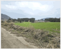  2025Ÿ��7804  �Ӿ߰��