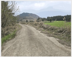  2025Ÿ��7804  �Ӿ߰��