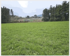  2025Ÿ��7804  �Ӿ߰��