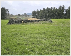  2025Ÿ��7804  �Ӿ߰��