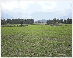  2025Ÿ��7804  �Ӿ߰��