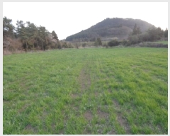  2025Ÿ��7804  �Ӿ߰��