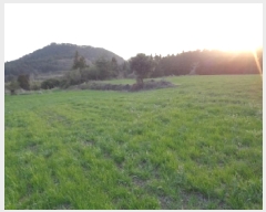  2025Ÿ��7804  �Ӿ߰��