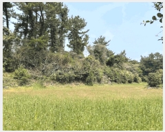  2025Ÿ��7828 ���� �������� ������ ���� 2172      ����(�Ӿ�)���