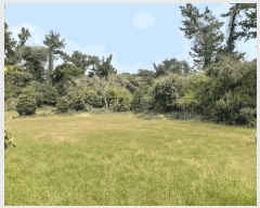  2025Ÿ��7828 ���� �������� ������ ���� 2172      ����(�Ӿ�)���