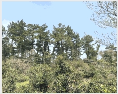  2025Ÿ��7828 ���� �������� ������ ���� 2172      ����(�Ӿ�)���