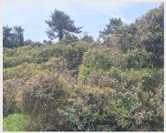  2025Ÿ��7828 ���� �������� ������ ���� 2172      ����(�Ӿ�)���