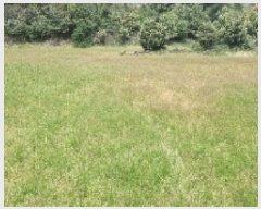  2025Ÿ��7828 ���� �������� ������ ���� 2172      ����(�Ӿ�)���