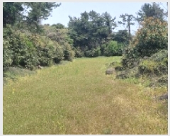  2025Ÿ��7828 ���� �������� ������ ���� 2172      ����(�Ӿ�)���