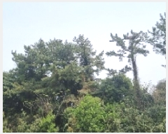  2025Ÿ��7828 ���� �������� ������ ���� 2172      ����(�Ӿ�)���