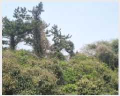  2025Ÿ��7828 ���� �������� ������ ���� 2172      ����(�Ӿ�)���