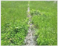  2025Ÿ��7837  �Ӿ߰��