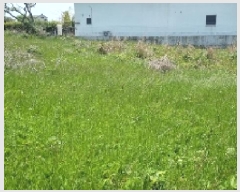  2025Ÿ��7837  �Ӿ߰��