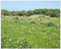  2025Ÿ��7837  �Ӿ߰��